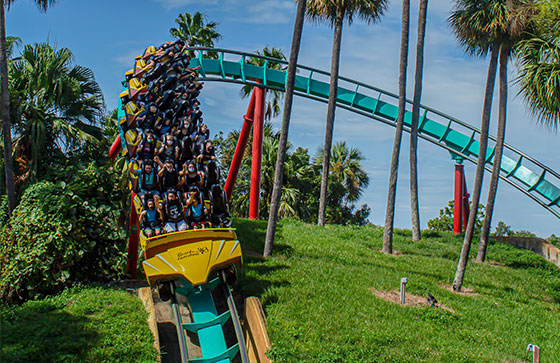 amusement park in tampa