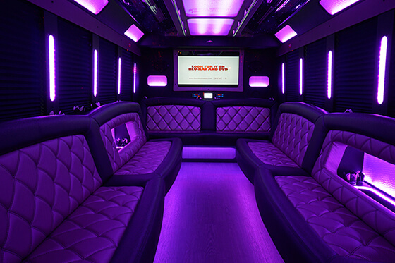 30 passenger party buses interior